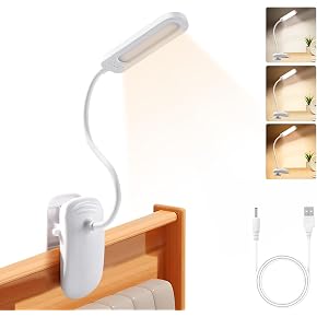 USB CHARGING HOSE DESK LAMP