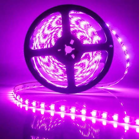 LED STRIP, 3 CHIPS, PINK, INDOOR, SILICONE-FREE, 60 LEDs, 5 METERS.