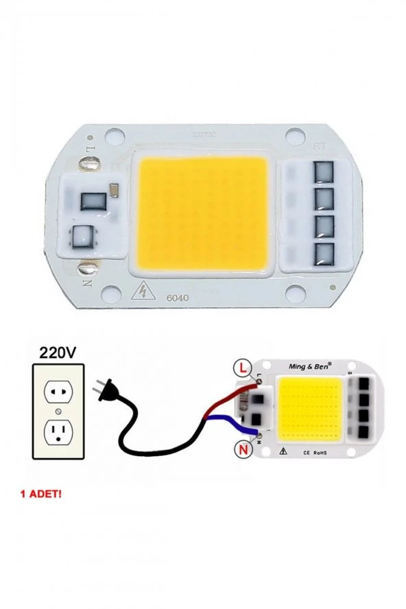 Projector Led 50W White Led AC 22