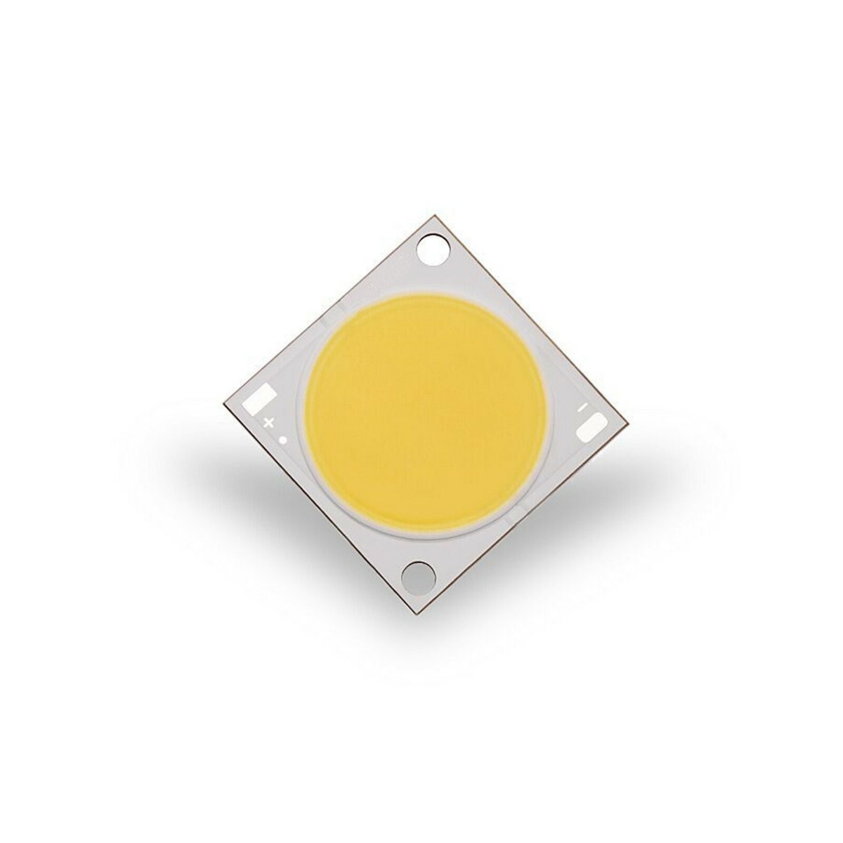 30W COB Projector LED