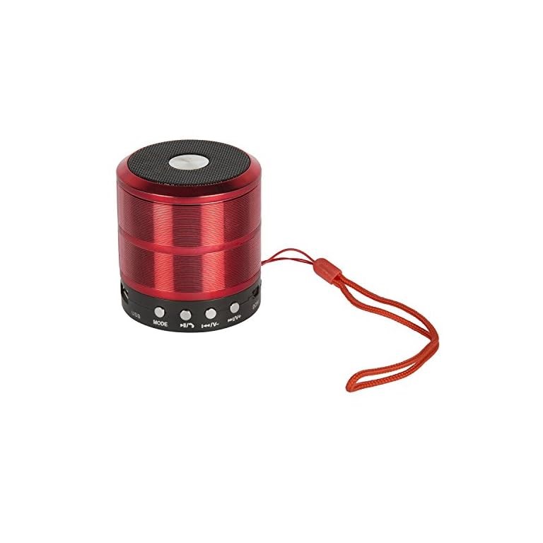 BOTS SPEAKER