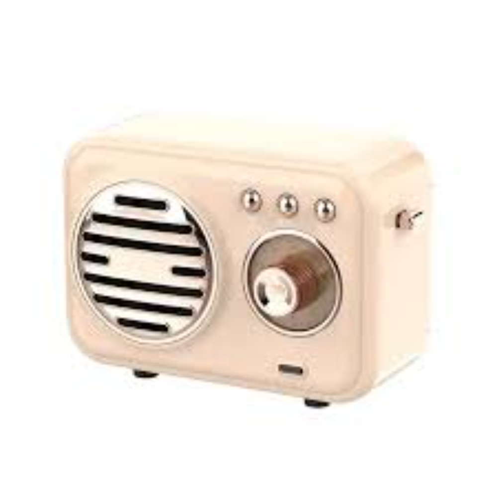 FUTURSTAR W13 PORTABLE WIRELESS SPEAKER